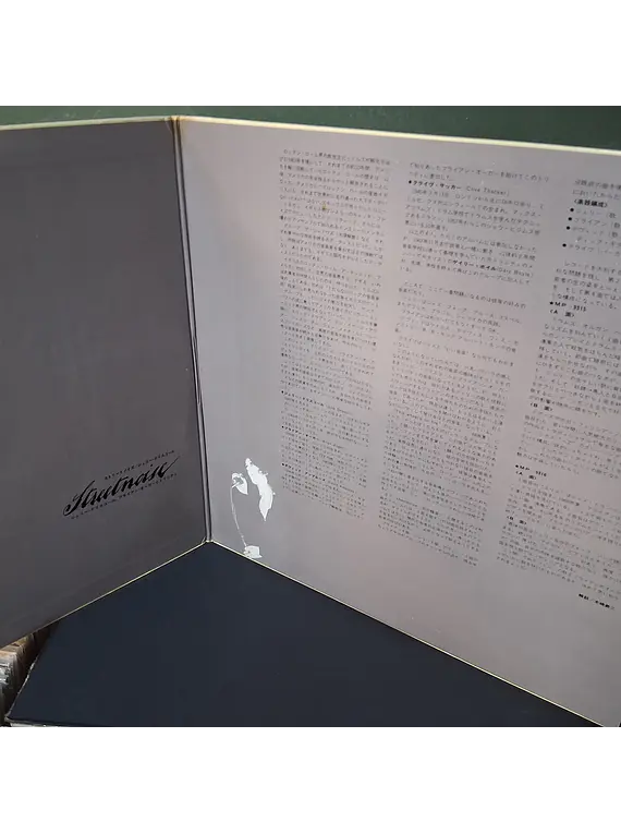 Julie Driscoll, Brian Auger & The Trinity – Streetnoise (Ed. Japón)