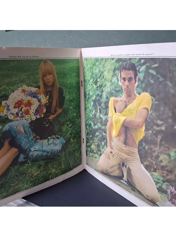 Rita Lee, Mutantes, Secos & Molhados– Nova História Da Música Popular Brasileira