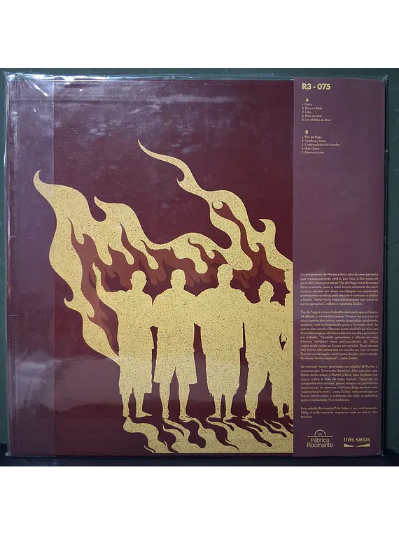 Planta E Raiz – Flor De Fogo