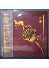 Planta E Raiz – Flor De Fogo