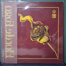 Planta E Raiz – Flor De Fogo