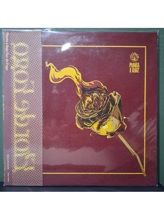 Planta E Raiz – Flor De Fogo