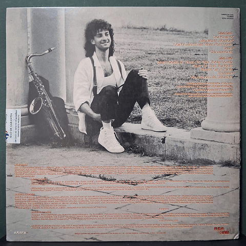 Kenny G  – Duotones