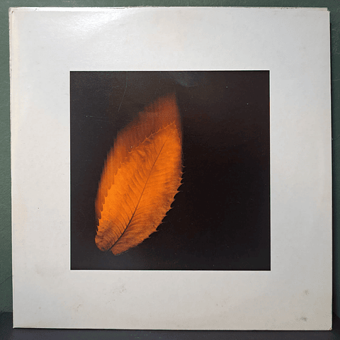 Peter Gabriel – Shaking The Tree: Twelve Golden Greats