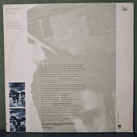 Sting – The Dream Of The Blue Turtles