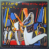 Sting – Bring On The Night