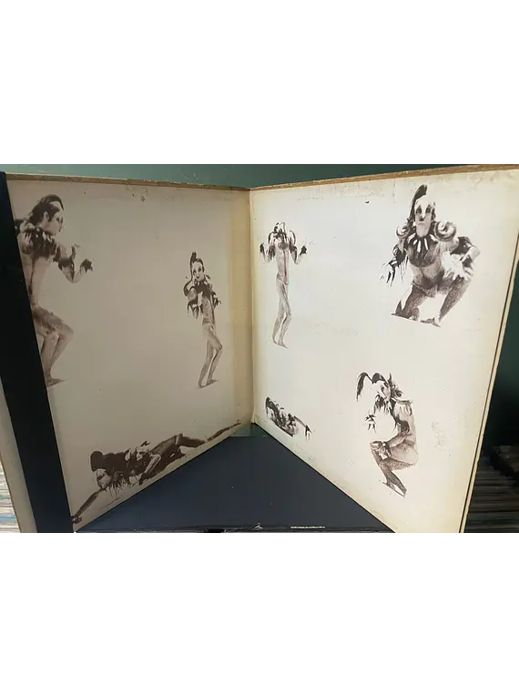 Ney Matogrosso – Água Do Céu Pássaro