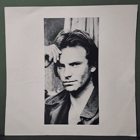 Sting – ...Nothing Like The Sun
