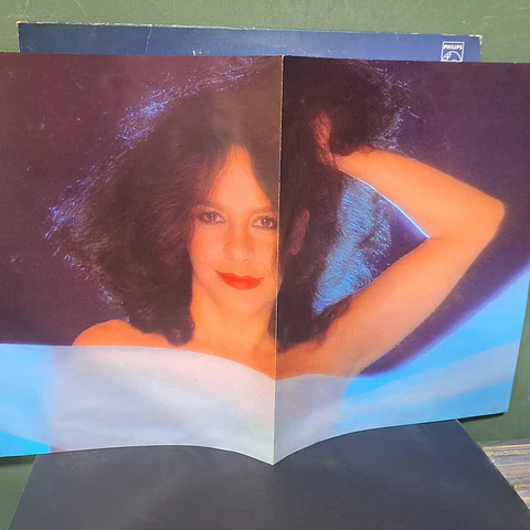 Gal Costa – Minha Voz