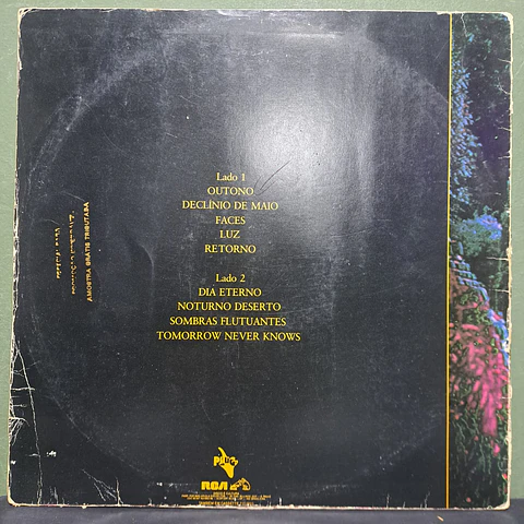 Violeta De Outono – Violeta De Outono