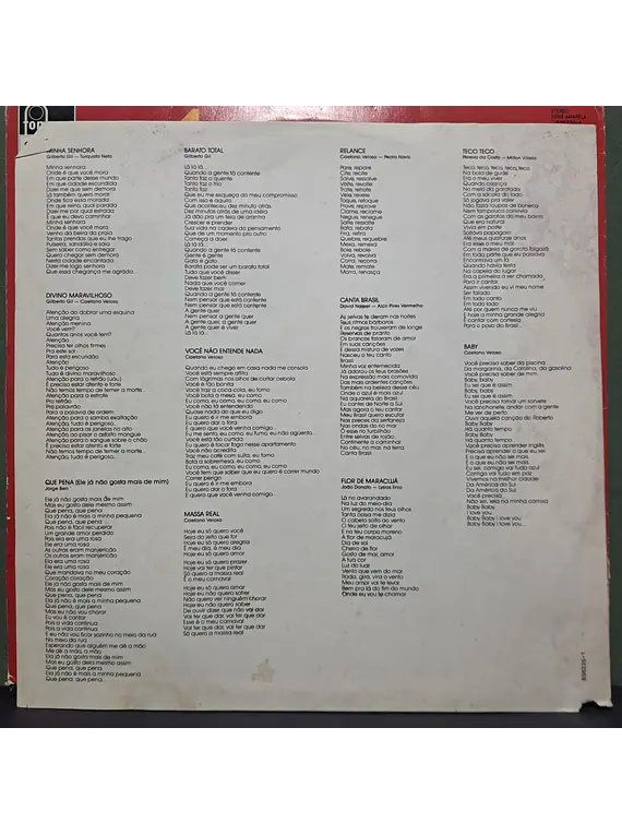 Gal Costa – A Arte 