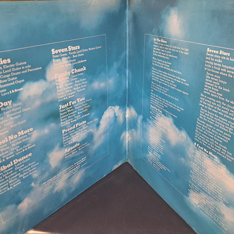 Peter Green  – In The Skies