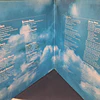 Peter Green  – In The Skies