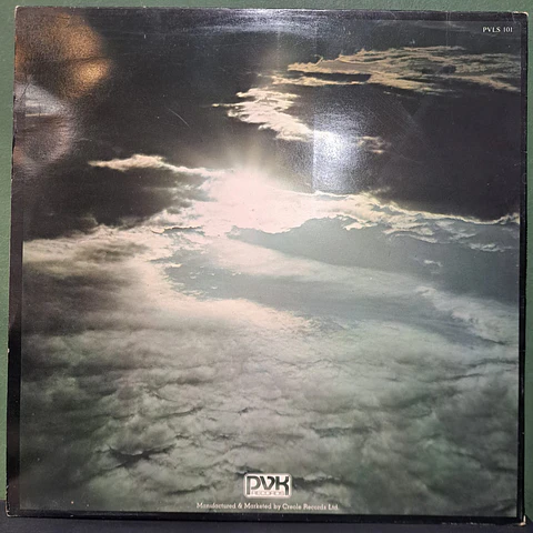 Peter Green  – In The Skies