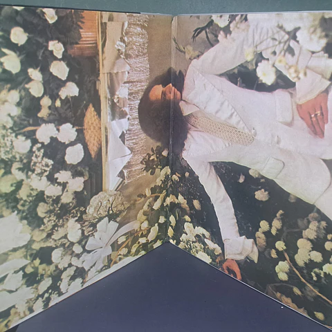Maria Bethânia – Pássaro Da Manhã