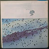 Vangelis – Antarctica (Music From Koreyoshi Kurahara's Film) (Ed. Japón)