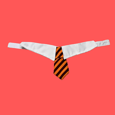 CORBATA CON CUELLO GRYFFINDOR