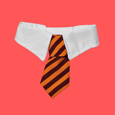 CORBATA CON CUELLO GRYFFINDOR