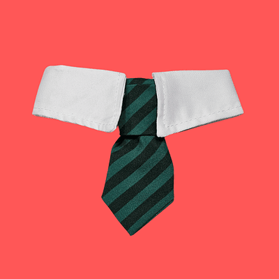 CORBATA CON CUELLO SLYTHERIN