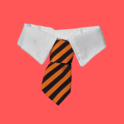 CORBATA CON CUELLO HUFFLEPUFF