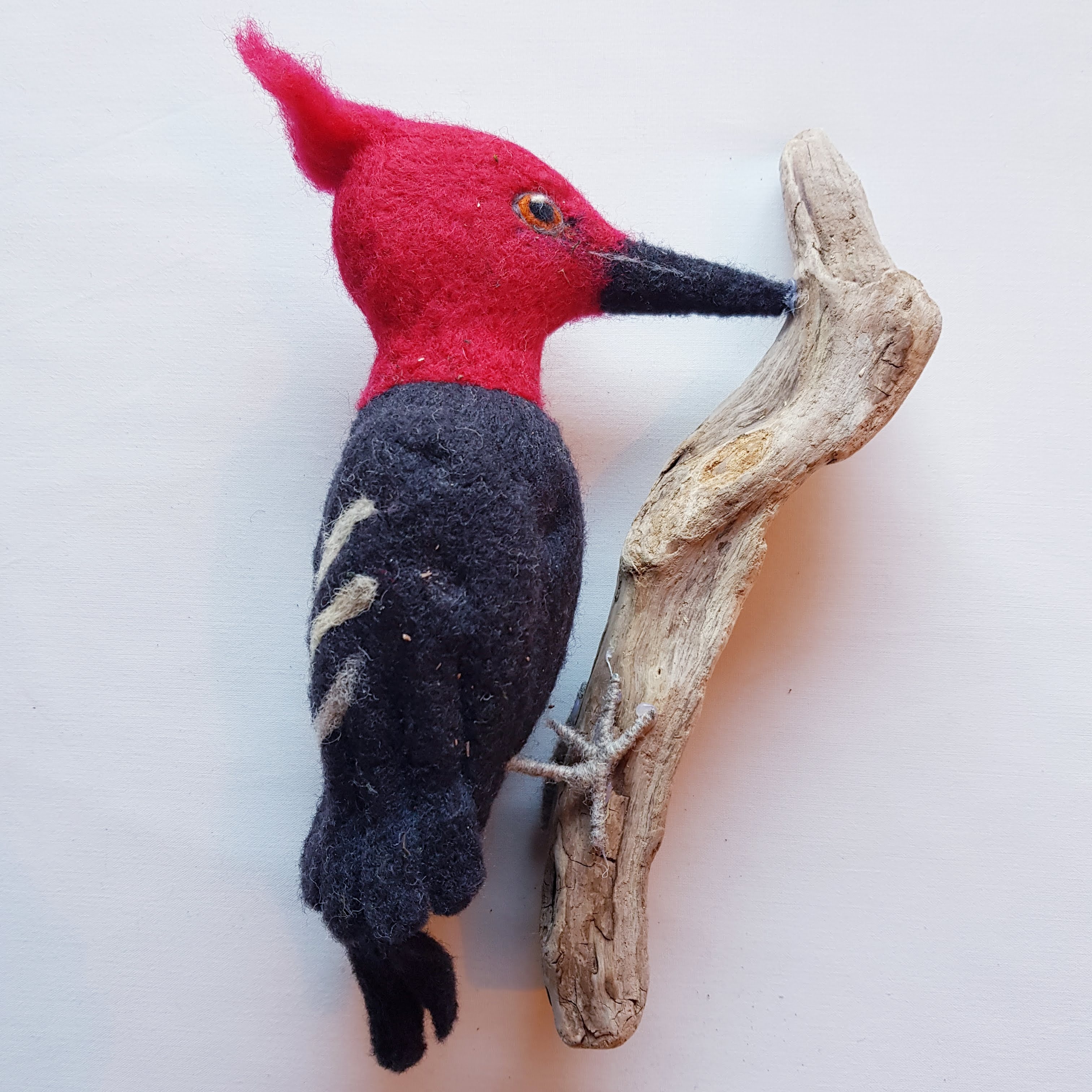 Artesanía Carpintero Negro