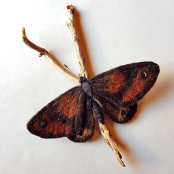 Fieltro Mariposa Roja