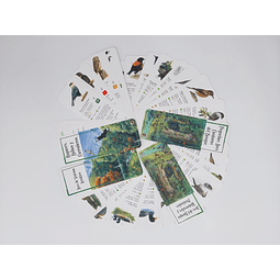 Guía de bolsillo de Aves Chilenas