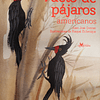 Vuelo de Pájaros Americanos