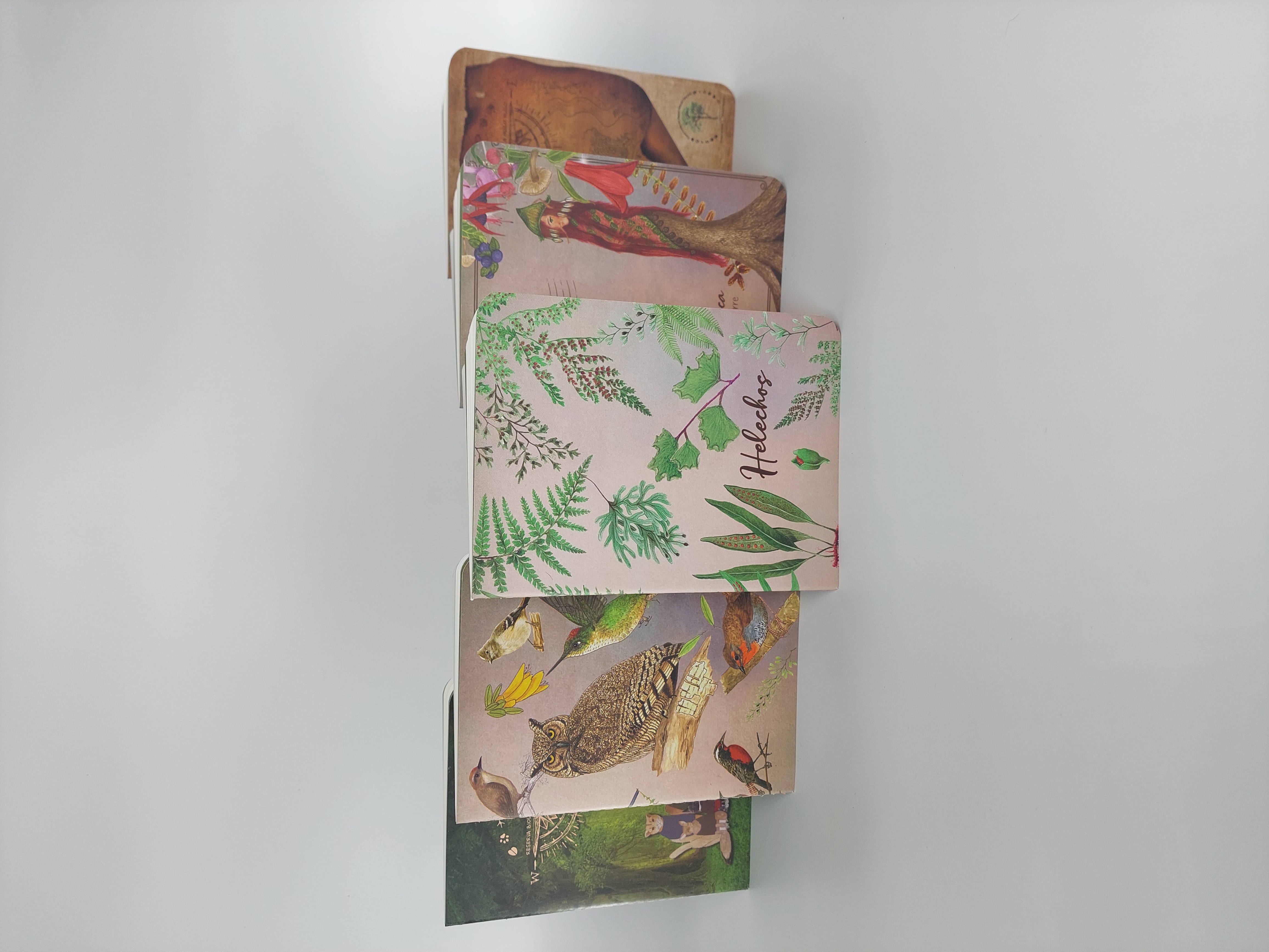 Libreta chica