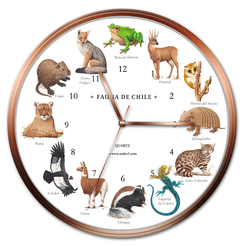 Reloj Fauna Chilena