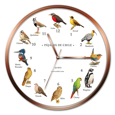 Reloj Pájaros de Chile