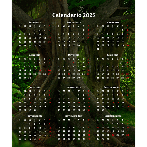 Calendario de Escritorio 2024
