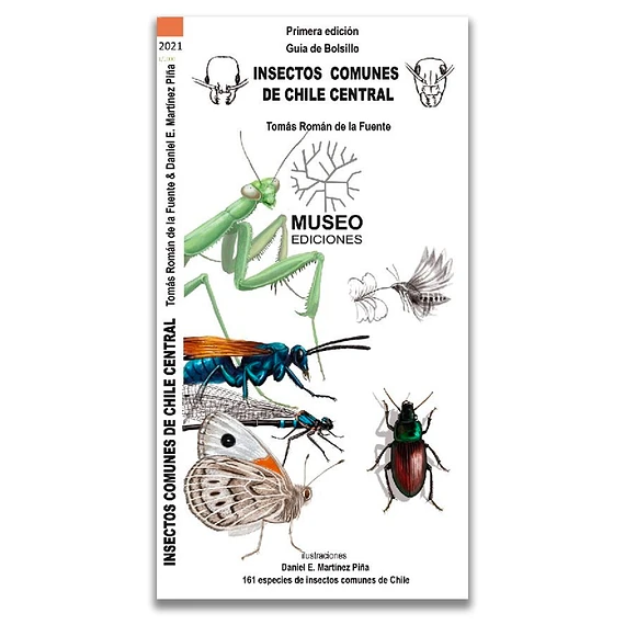 Guía de Insectos chilenos