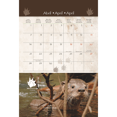 Calendario Fauna y sus Huellas 2025