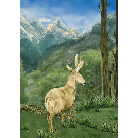 Newenche, El Huemul Valiente