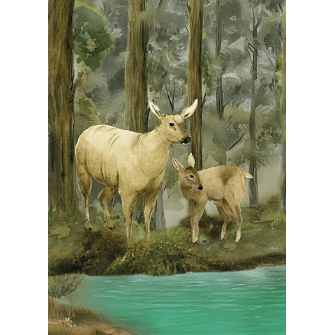 Newenche, El Huemul Valiente