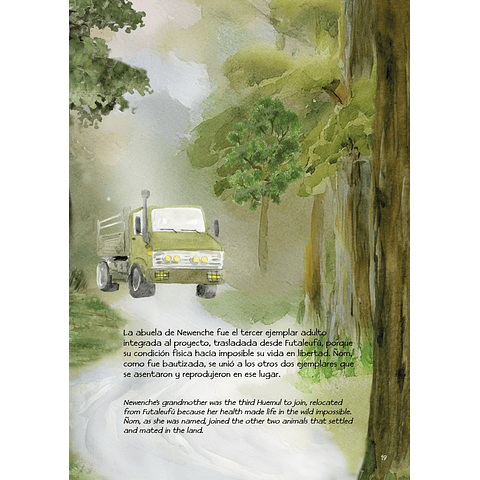 Newenche, El Huemul Valiente