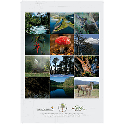 Calendario de Pared: Imágenes de Huilo Huilo