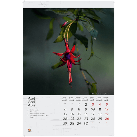 Calendario de Pared: Imágenes de Huilo Huilo