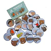 Memorice Animales Chilenos