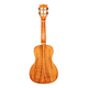 Ukelele Kala Concierto Solid Cedar Acacia