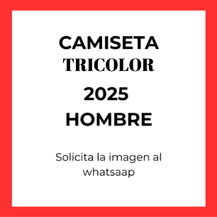Camiseta Colo Colo 2025 tricolor 