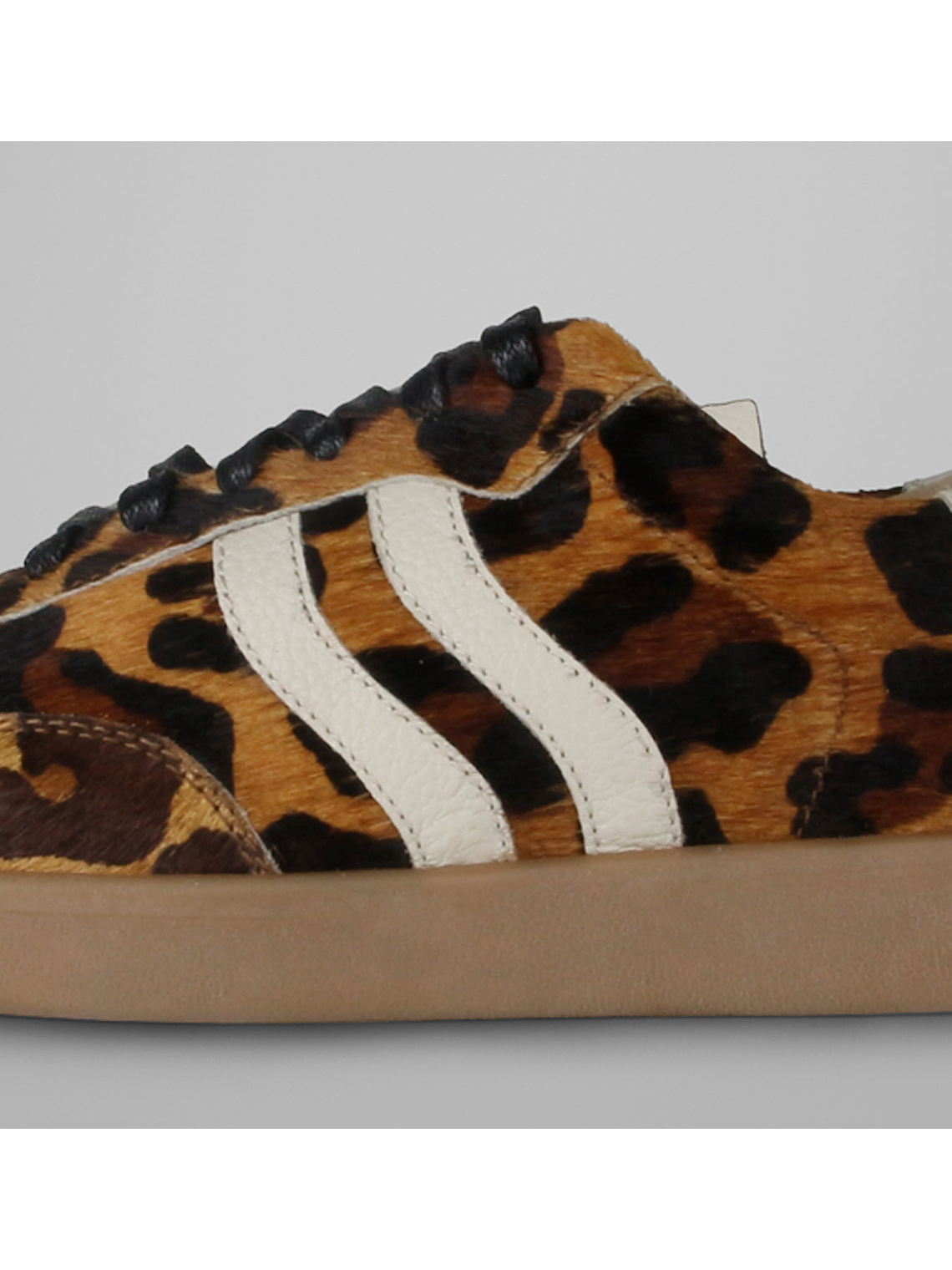 ZAPATILLA TAYLOR3 - LEOPARDO 3