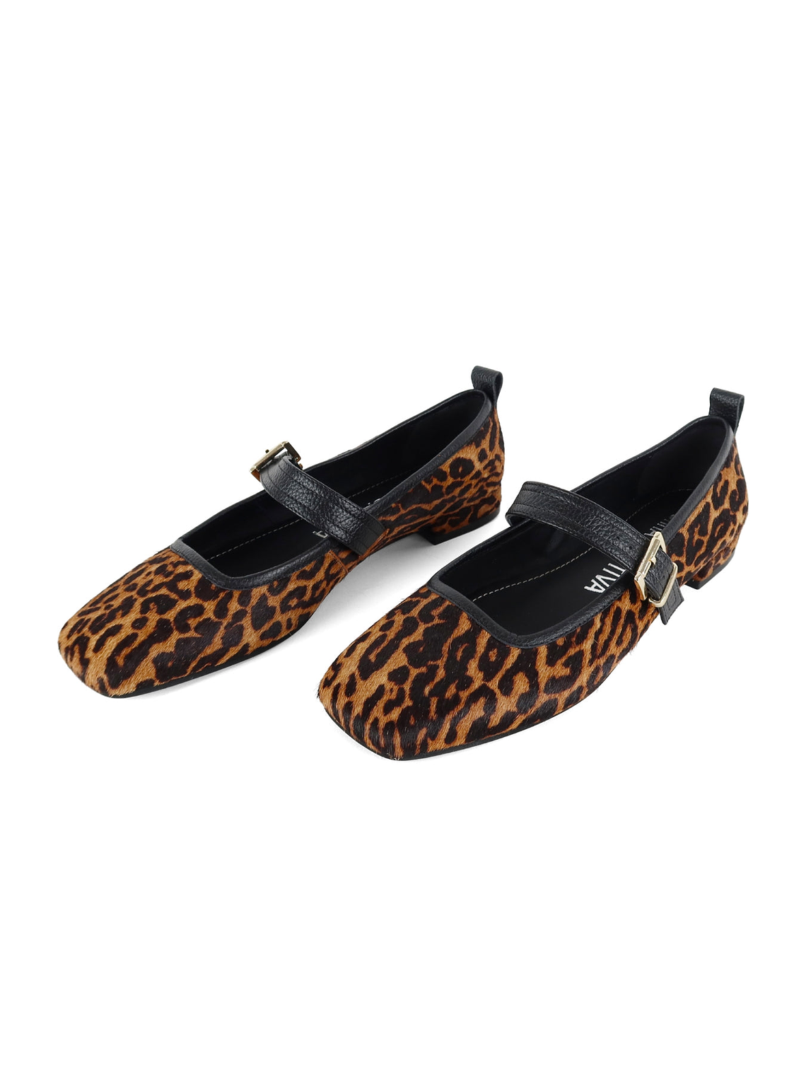 BALERINA LUPITA - LEOPARDO 2