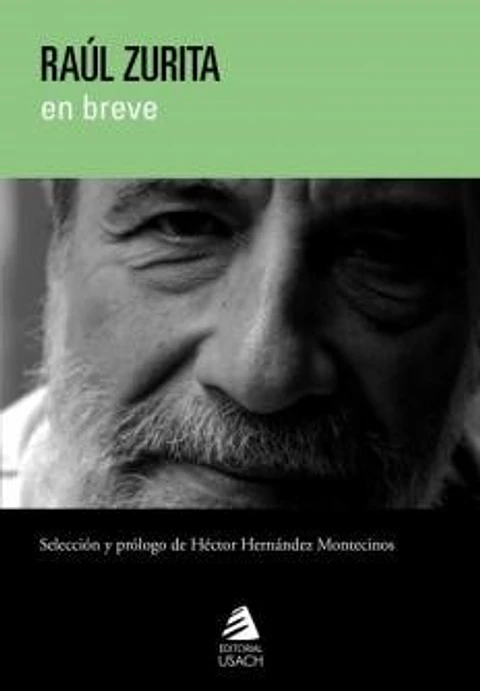 Raúl Zurita en breve