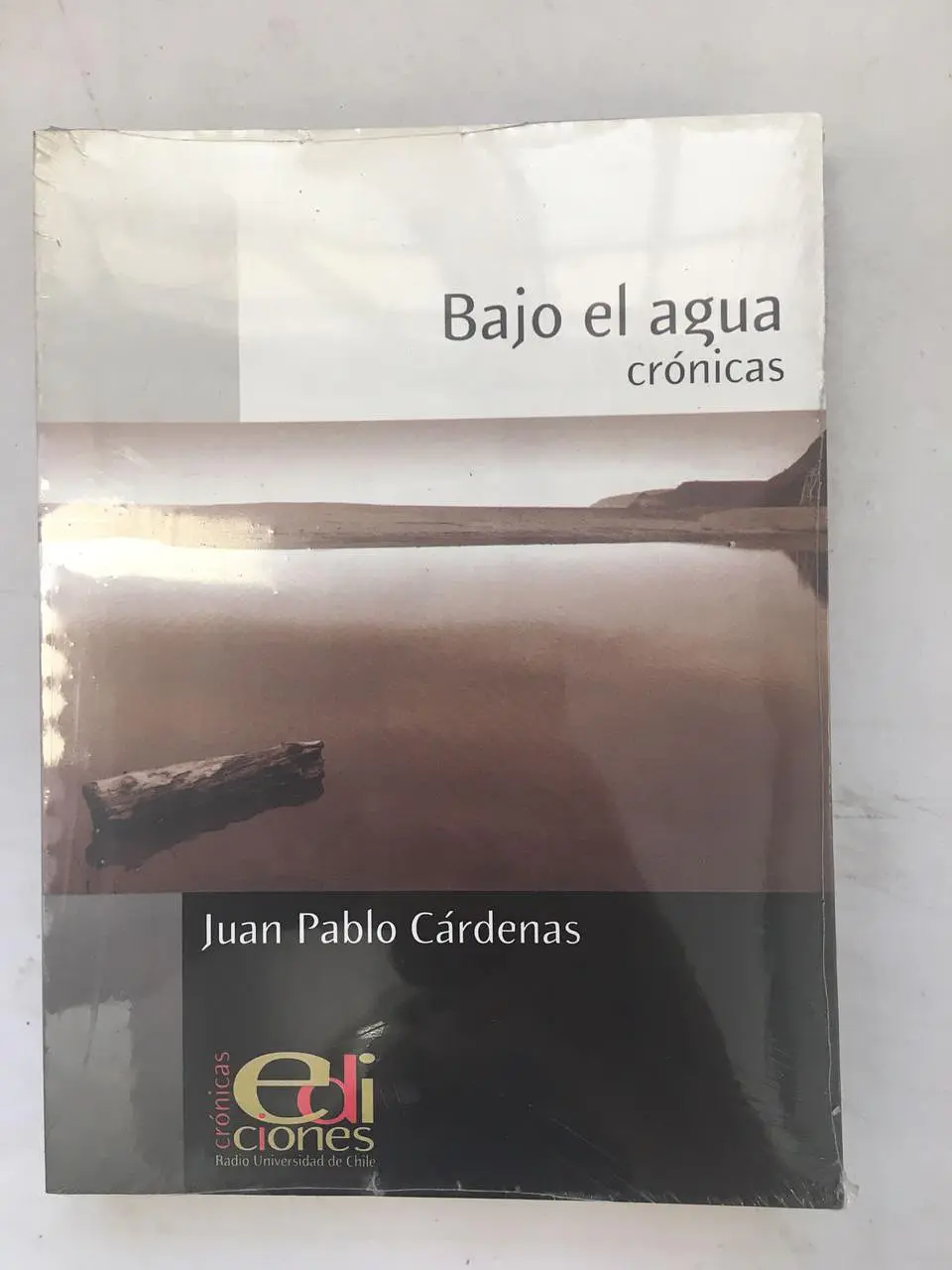 Bajo el agua. Crónicas 1