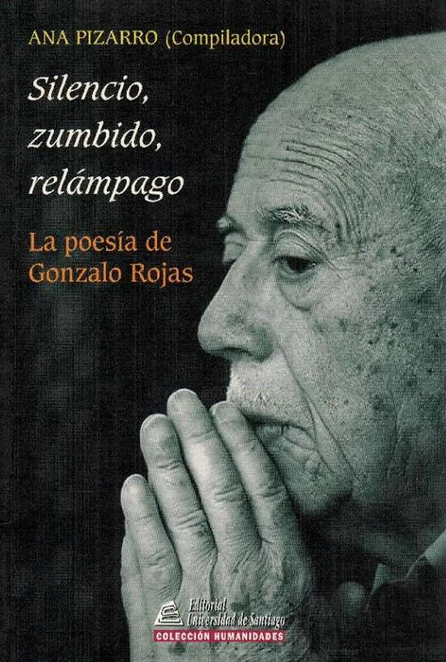 Silencio, zumbido, relámpago 1