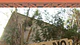 Serie Fondo VIME Libros