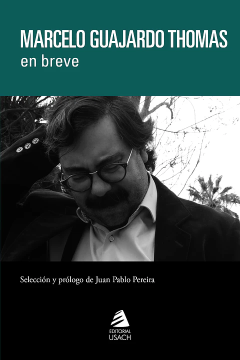 Marcelo Guajardo Thomas en breve