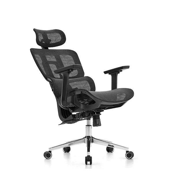 SILLA F60 ERGO BLACK - VERSUS 4